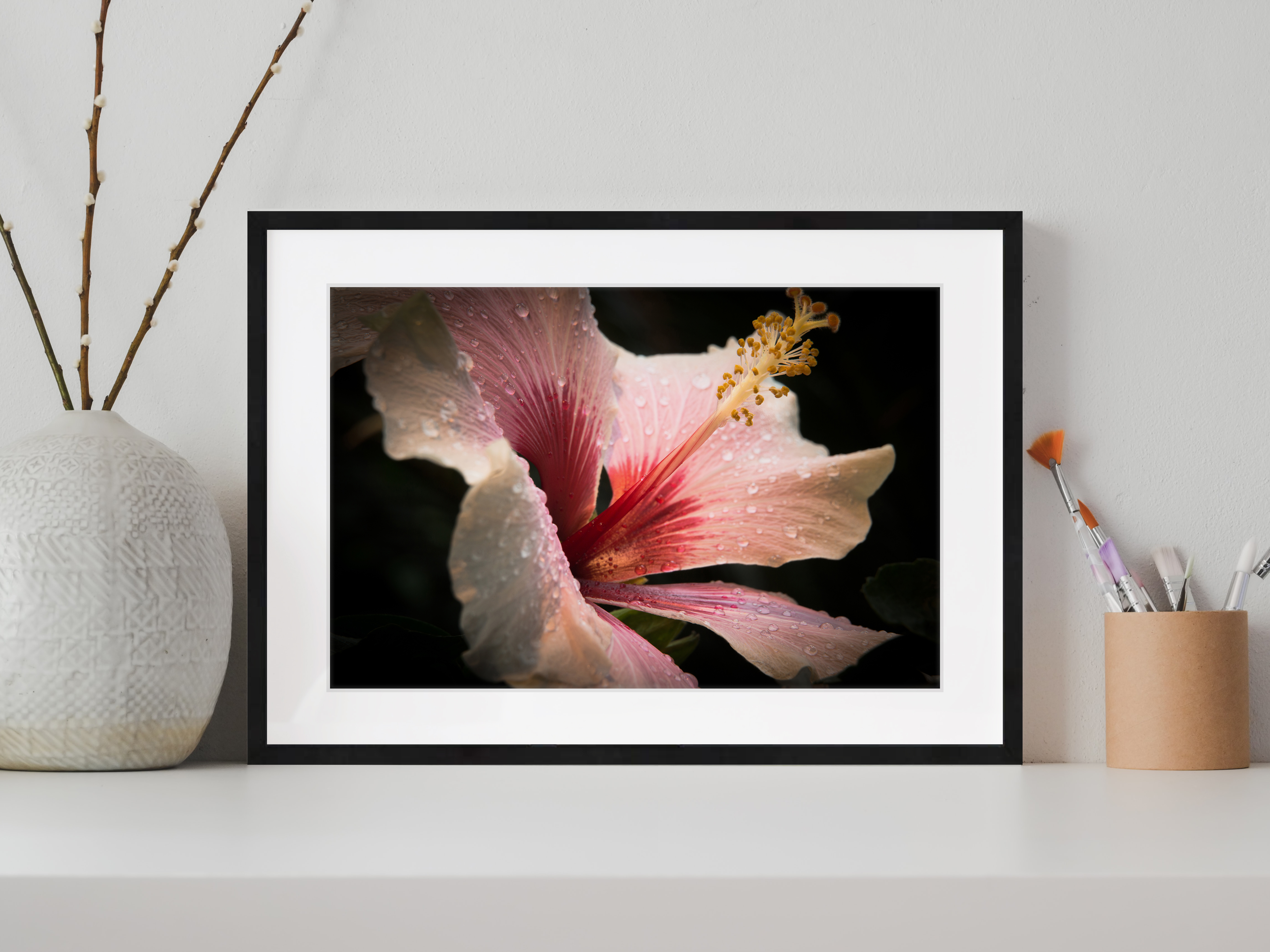 Hibiskusblüte mit Tropfen