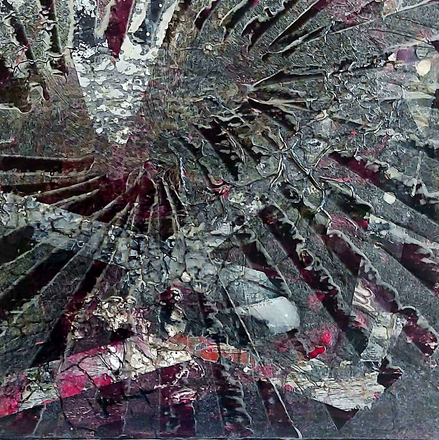 Electra Electra