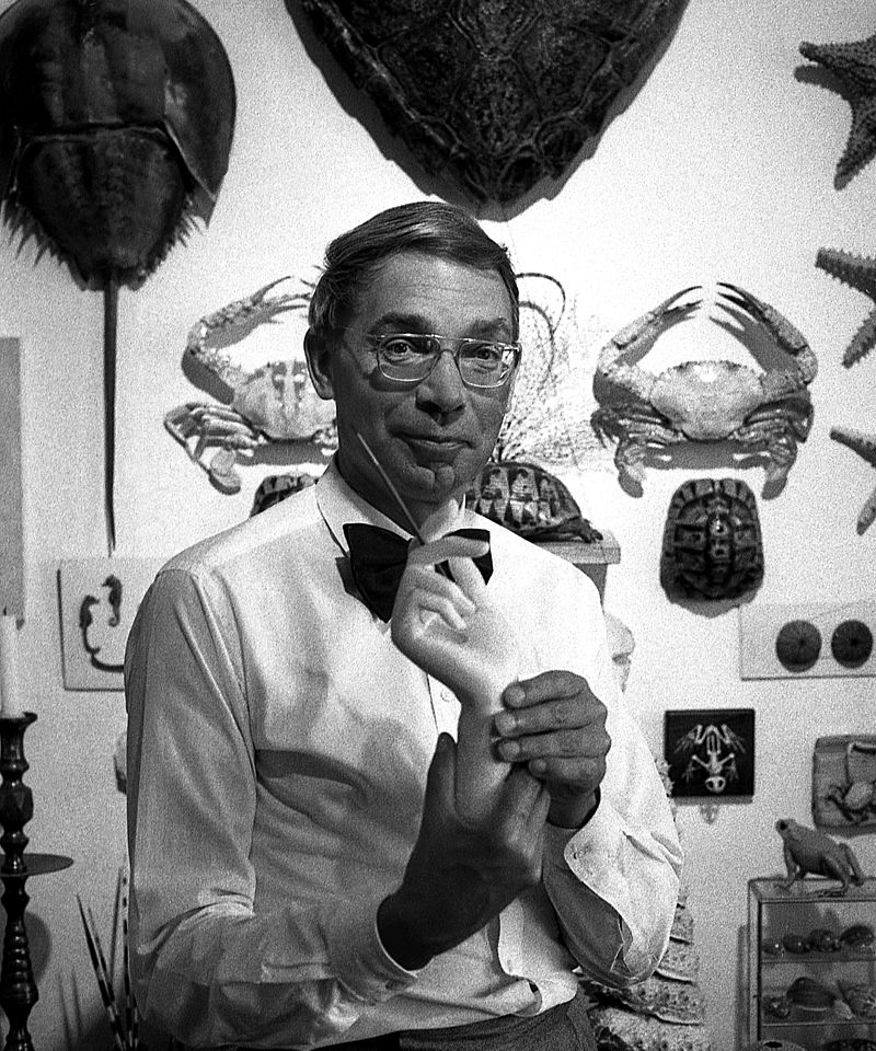 Hans-Joachim_Zeidler