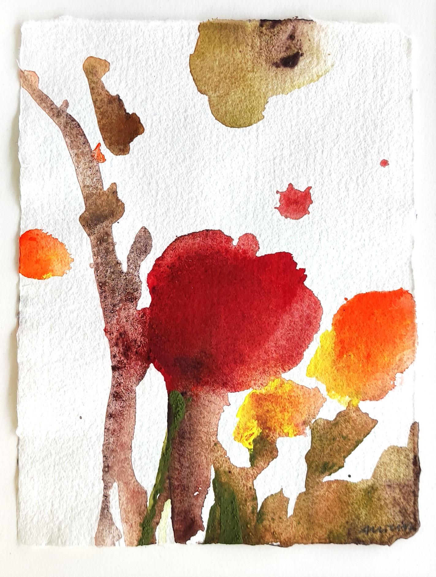 Orangene Blüte I